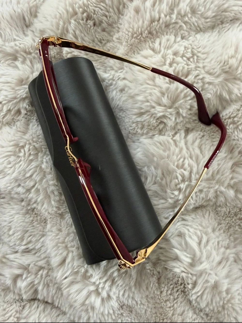 Cartier stylish cat